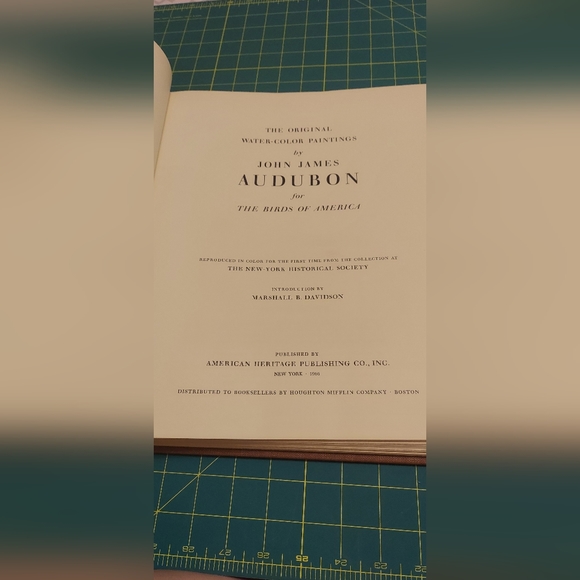 Barn Owl Plate 110, John James Audubon - Picture 3 of 4